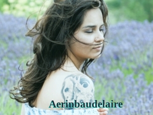 Aerinbaudelaire