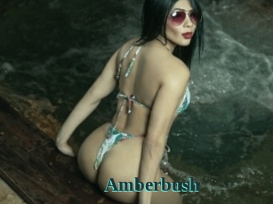 Amberbush