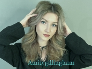 Amitygillingham