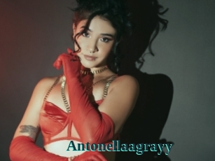 Antonellaagrayy