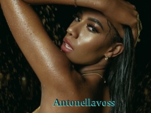 Antonellavoss
