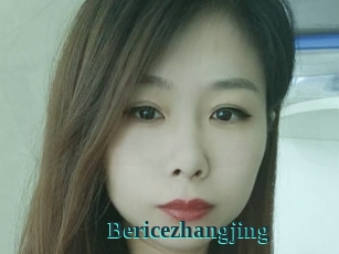 Bericezhangjing