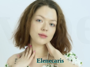 Elenecaris