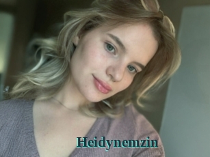 Heidynemzin