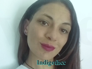 Indigothcc