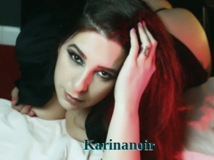 Karinanoir