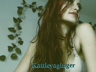 Kattleyaginger