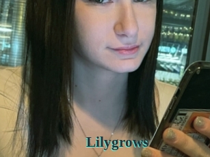 Lilygrows