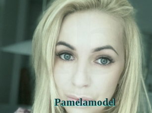 Pamelamodel