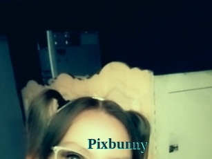 Pixbunny
