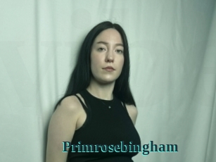 Primrosebingham